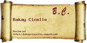 Bakay Cicelle névjegykártya